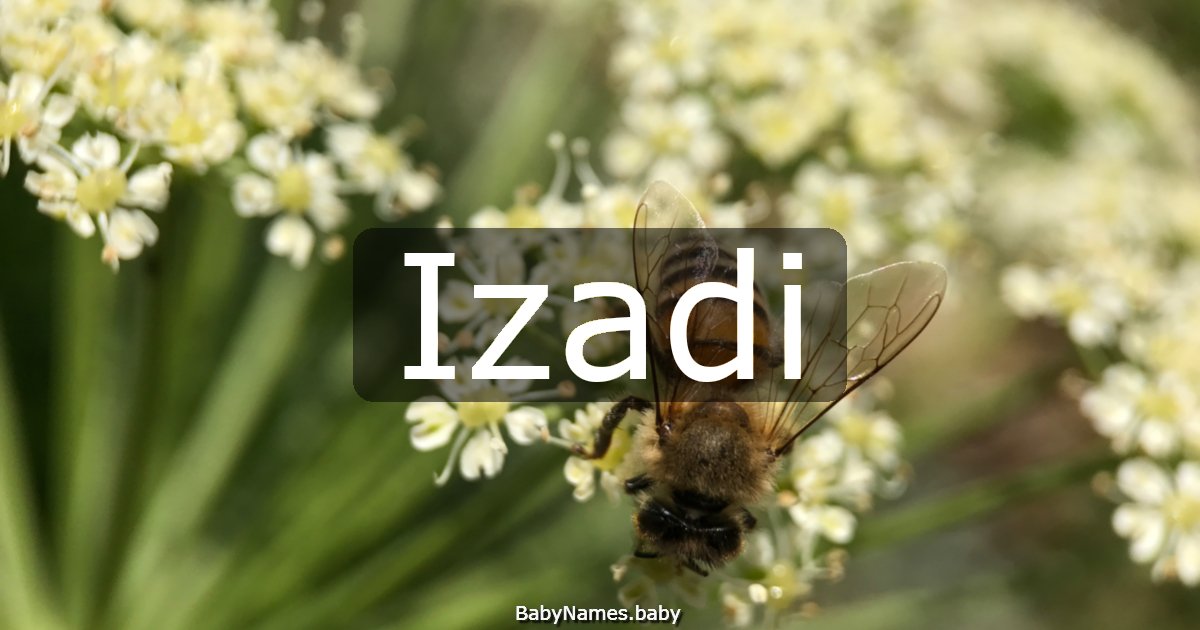 Izadi