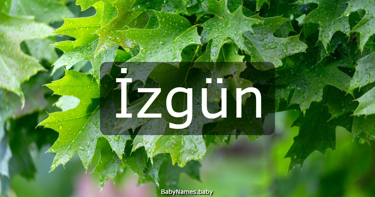 İzgün