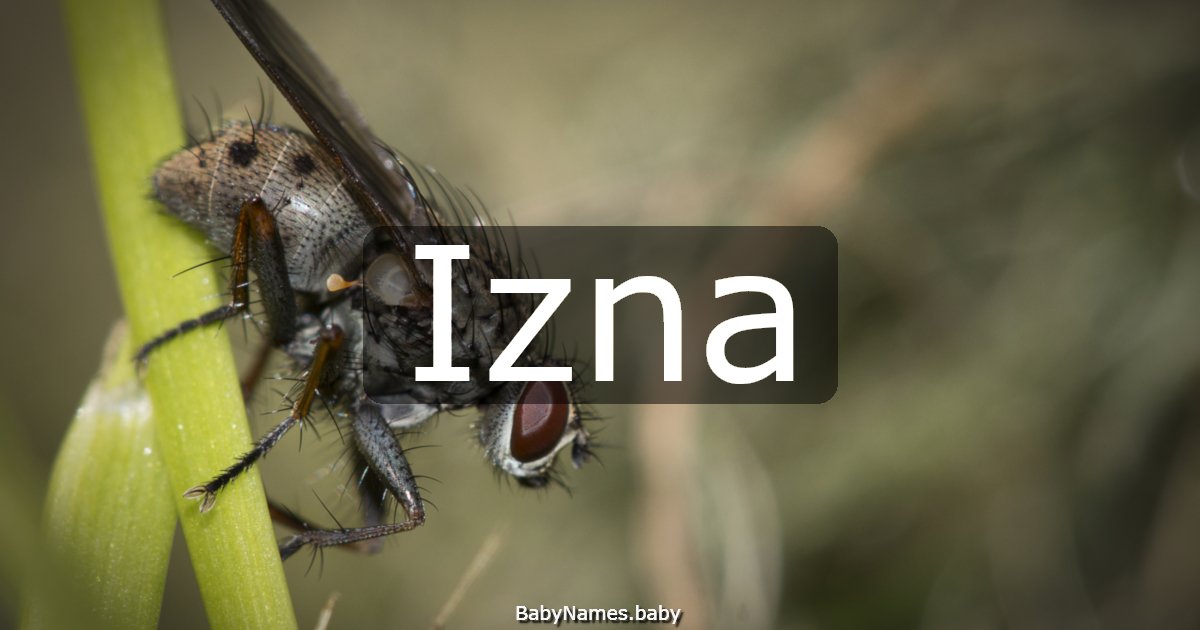Izna