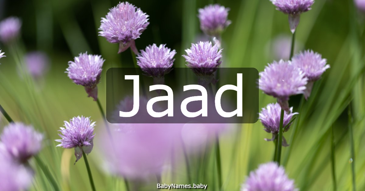 Jaad