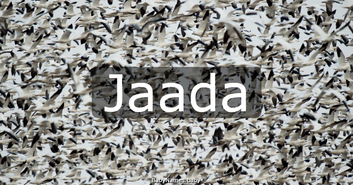 Jaada