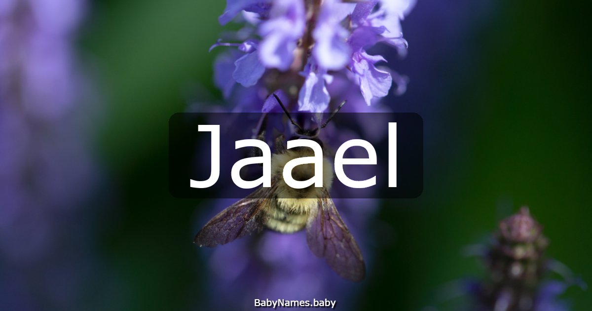 Jaael