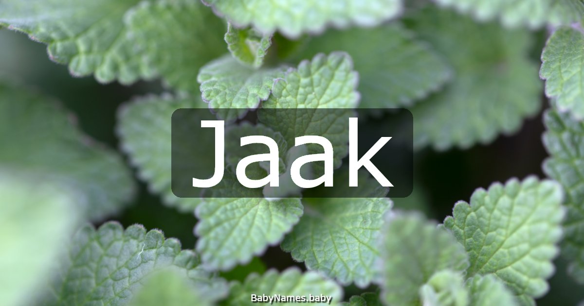 Jaak