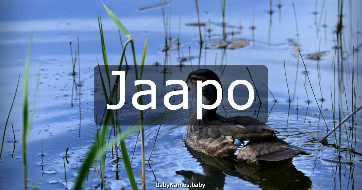 Jaapo
