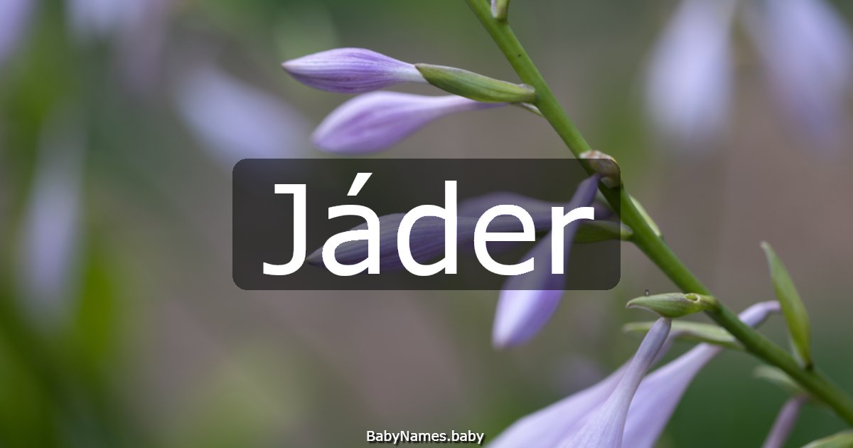 Jáder