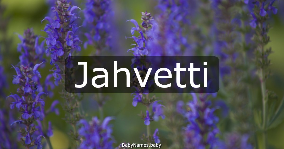 Jahvetti