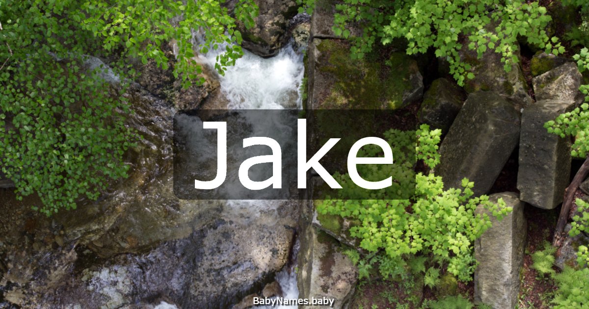Jake