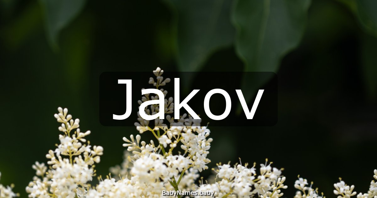 Jakov