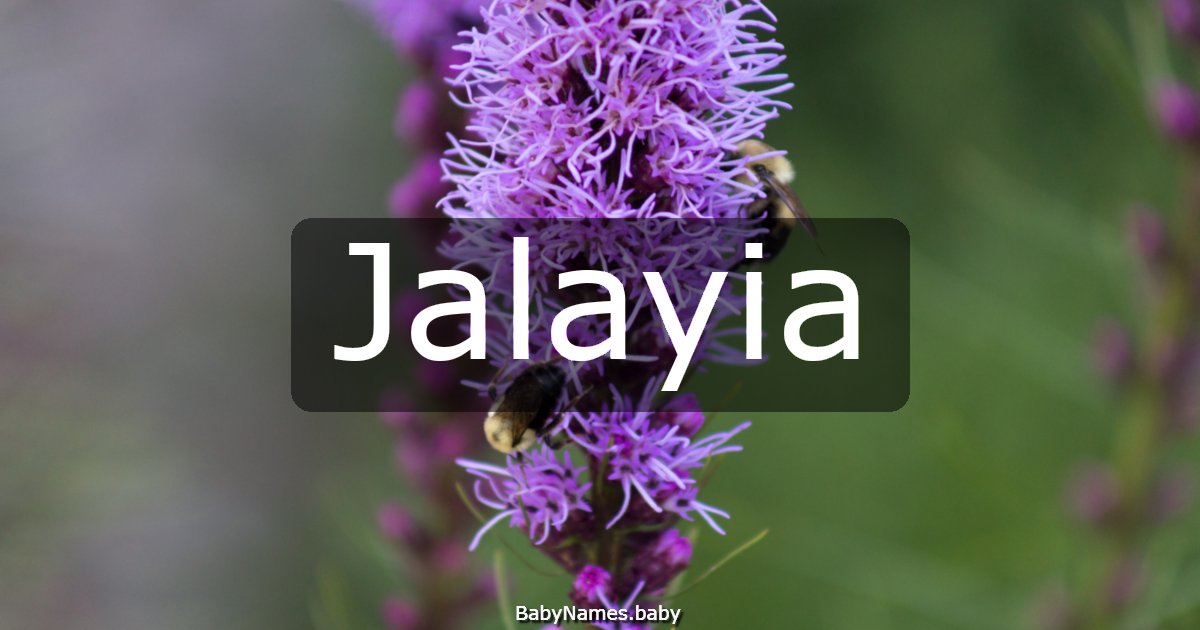 Jalayia