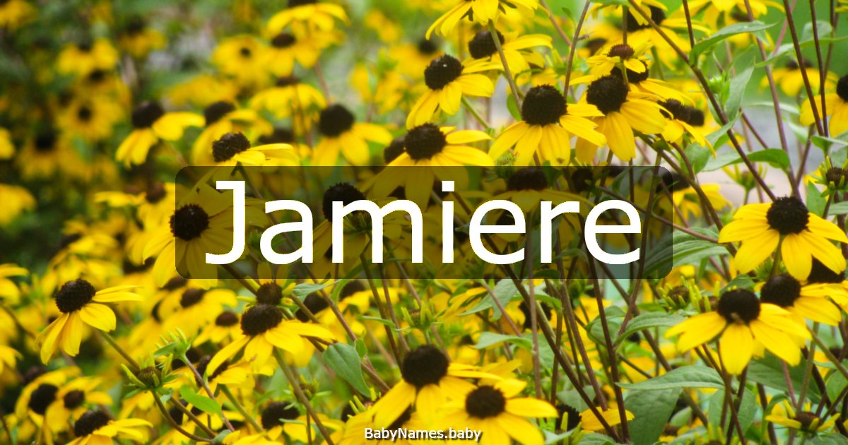 Jamiere