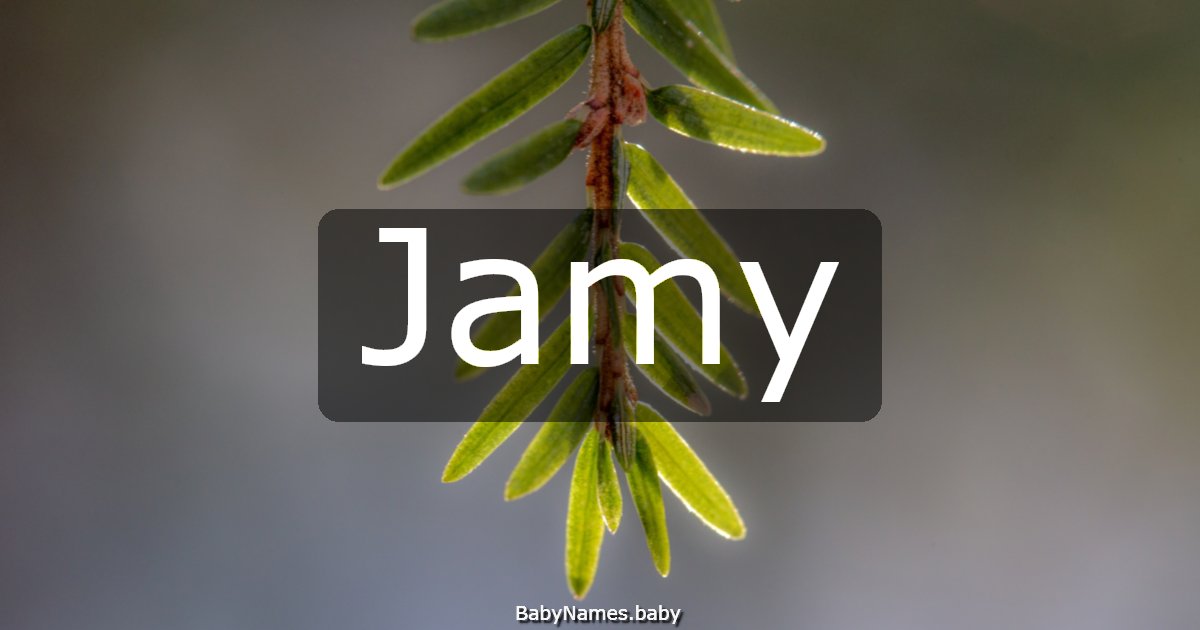 Jamy