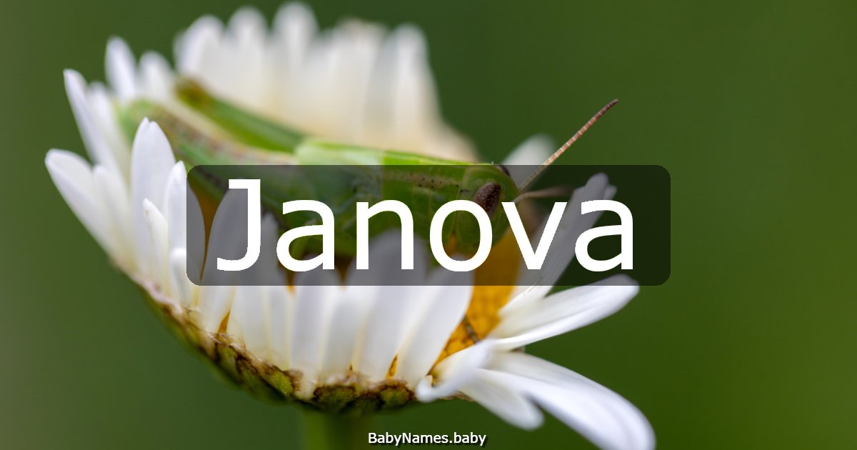 Janova