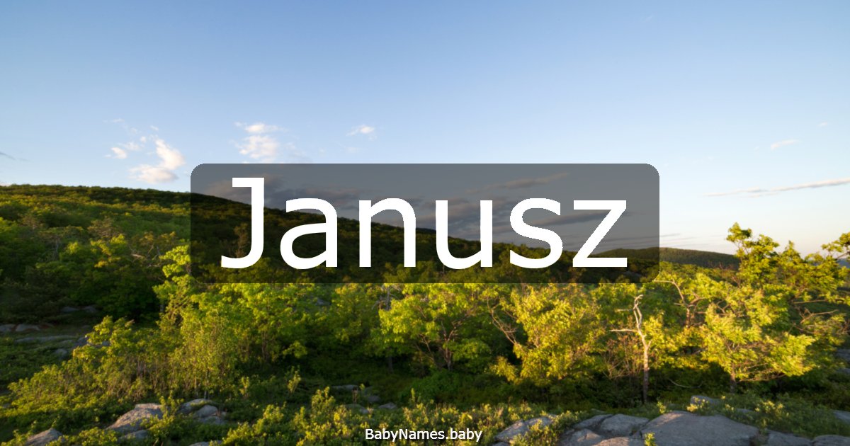 Janusz