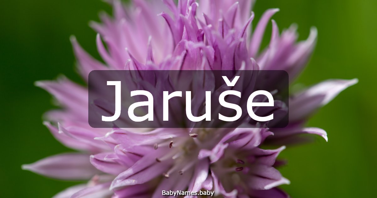 Jaruše
