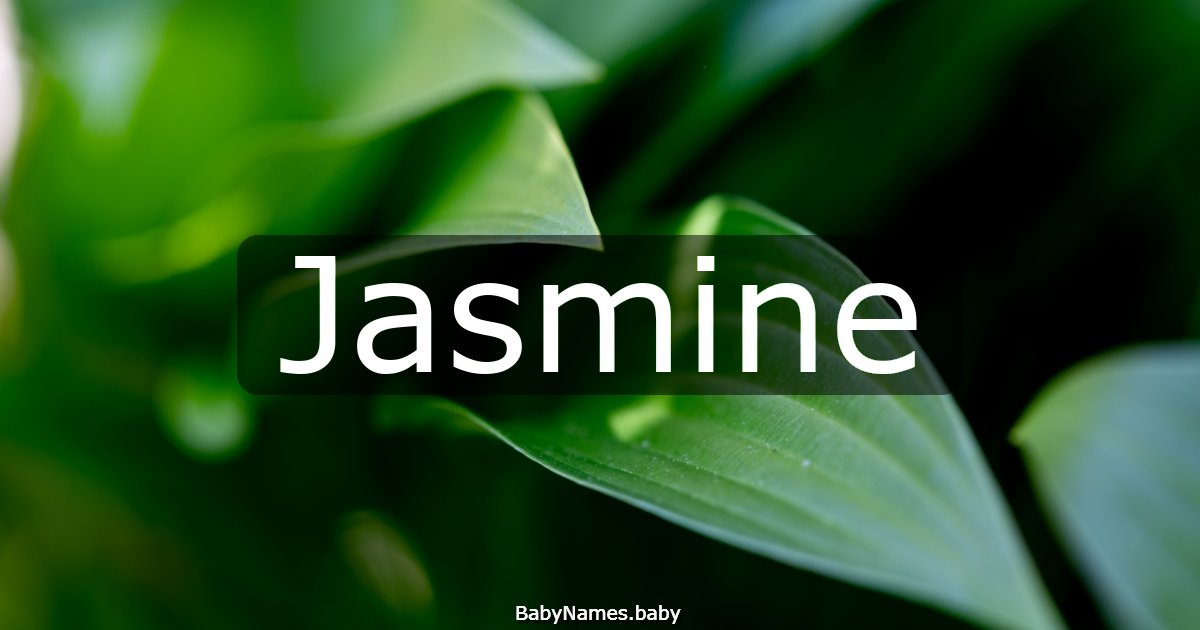 Jasmine
