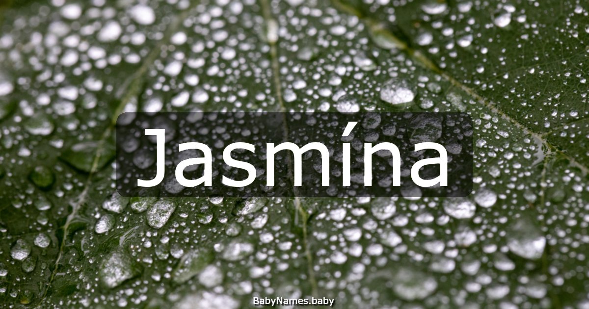 Jasmína