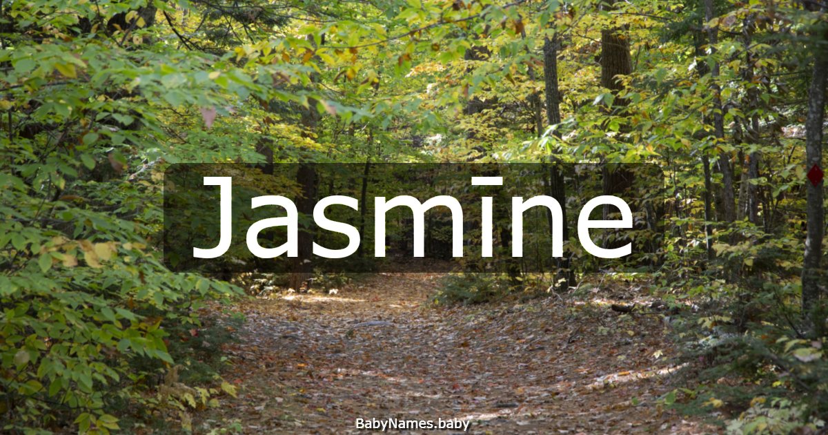 Jasmīne