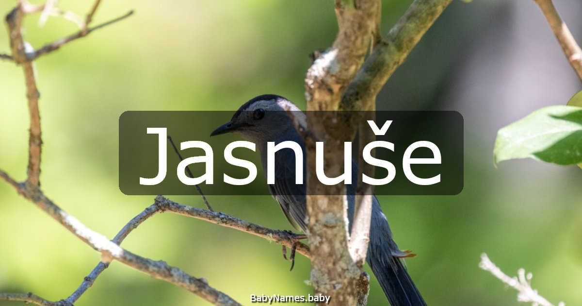 Jasnuše