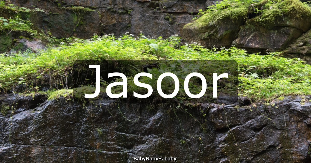 Jasoor
