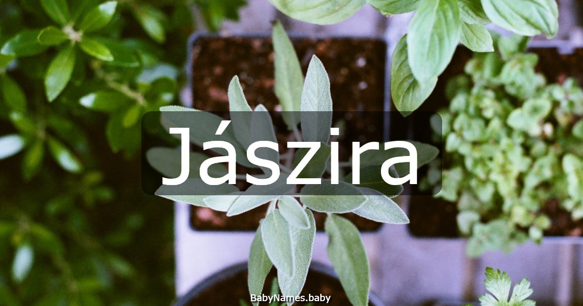 Jászira