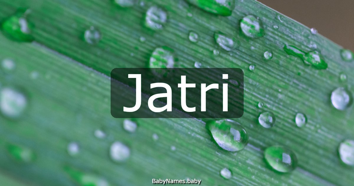 Jatri