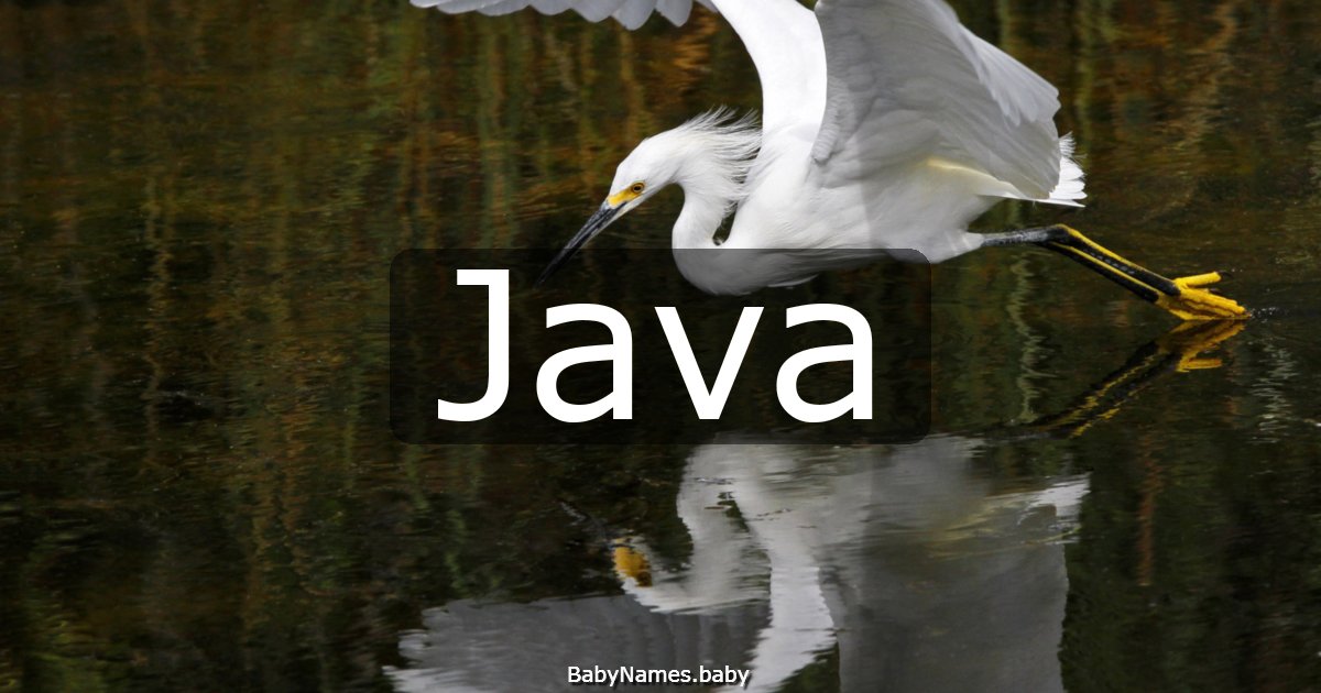 Java