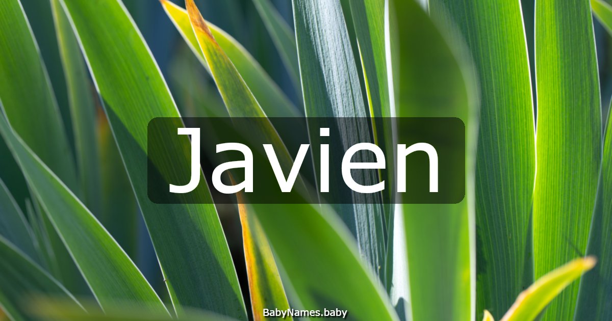 Javien