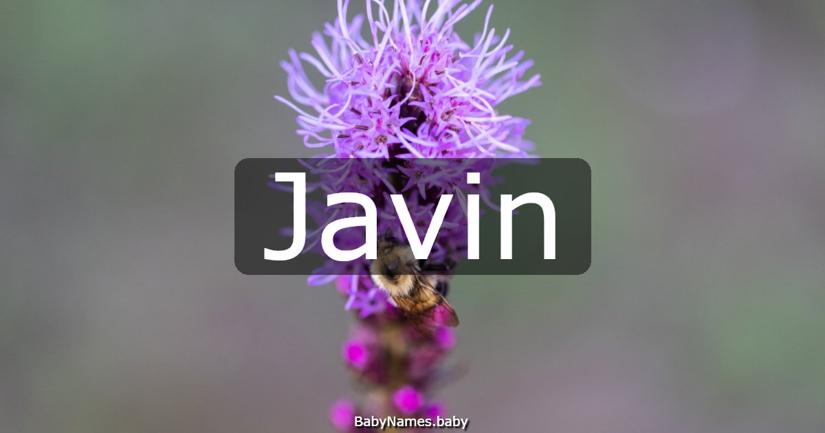 Javin