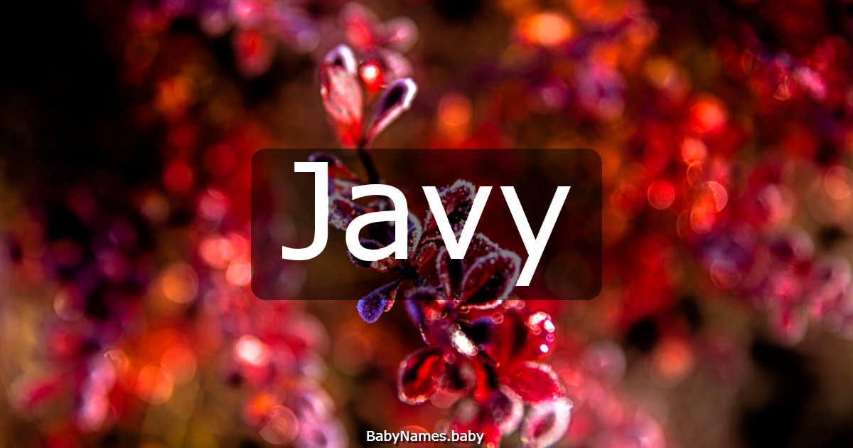 Javy