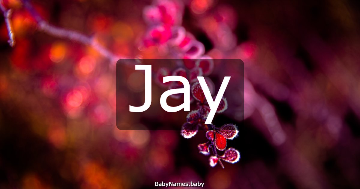 Jay