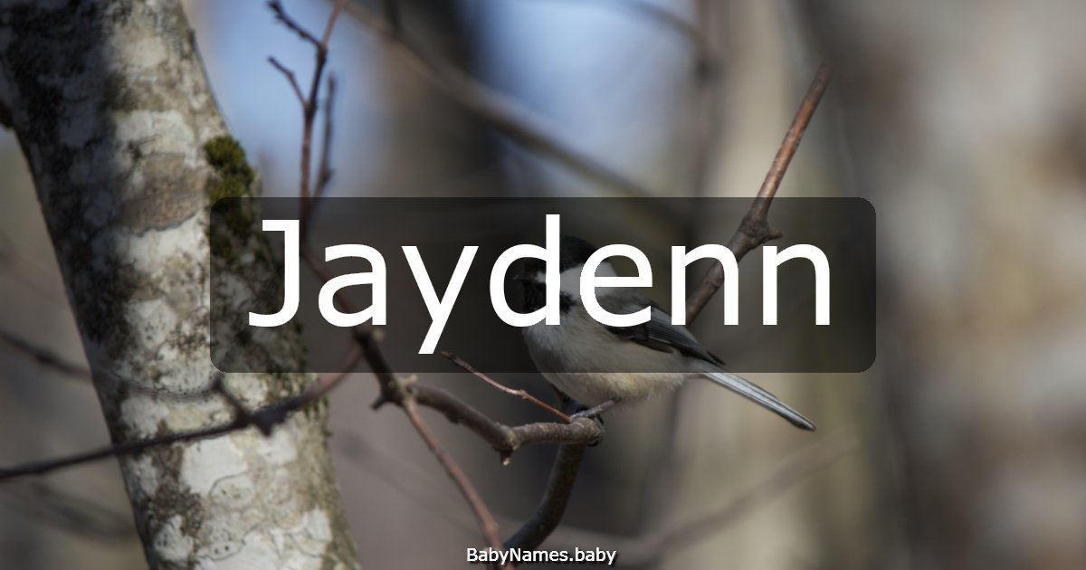 Jaydenn