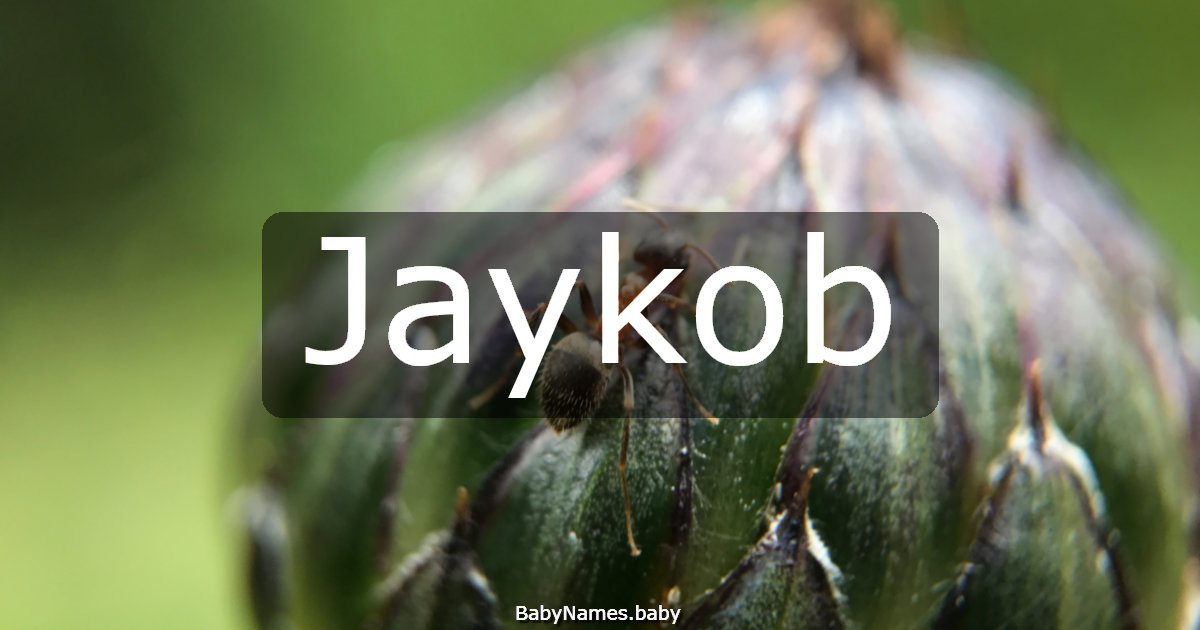 Jaykob