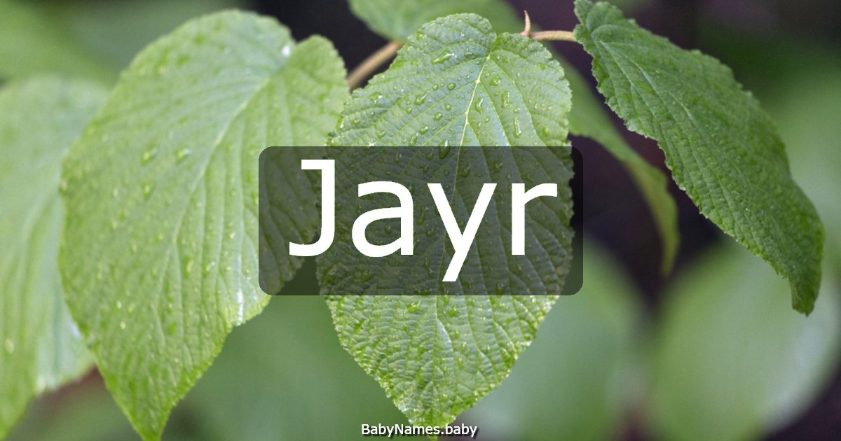 Jayr