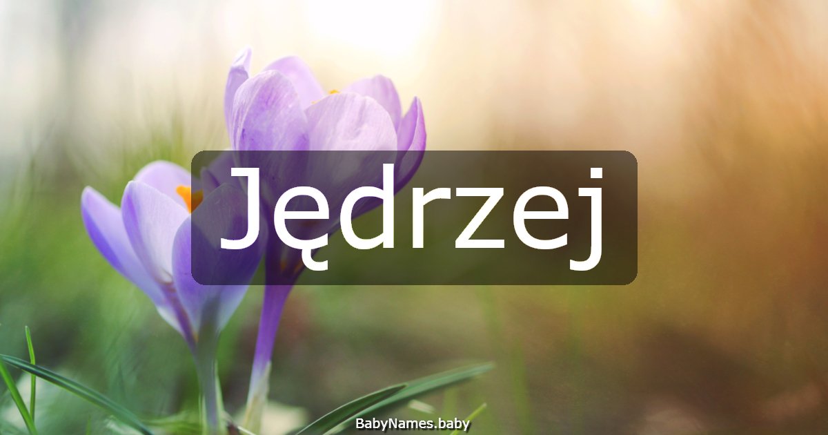 Jędrzej