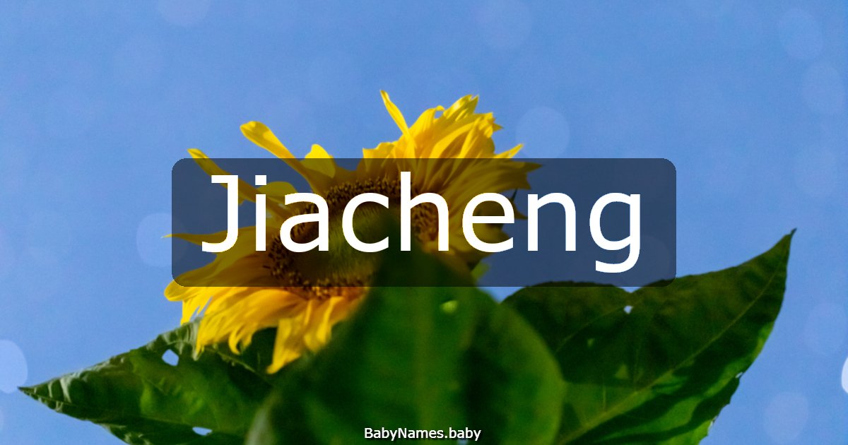 Jiacheng