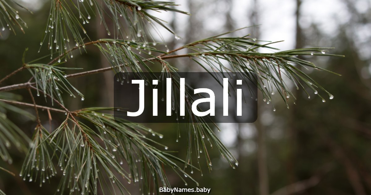 Jillali