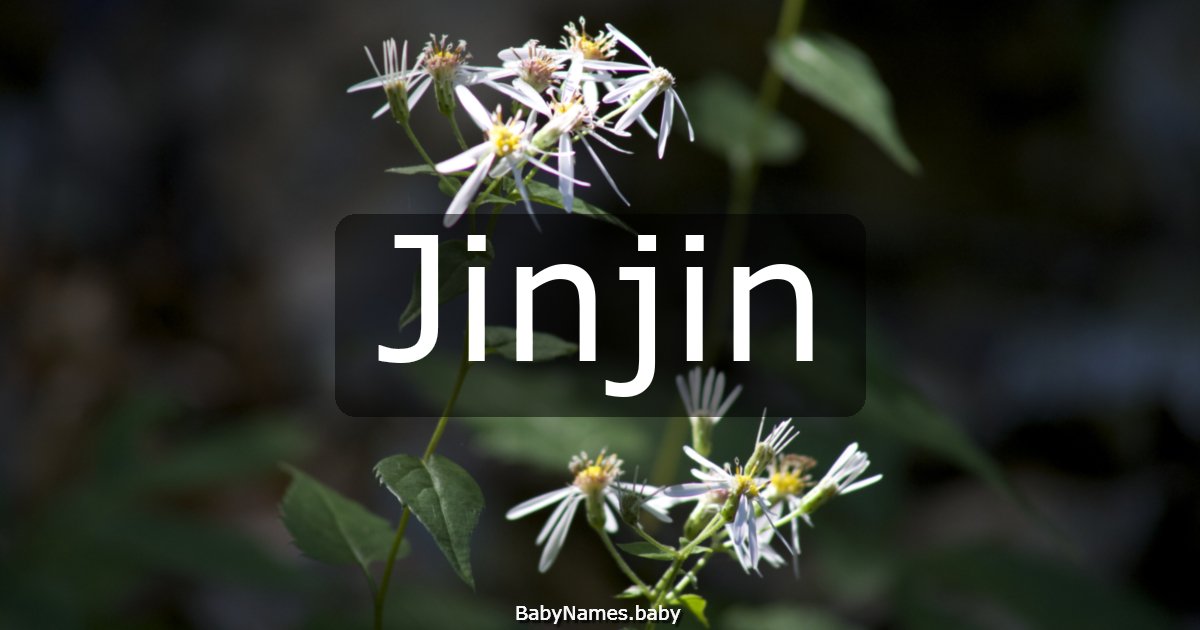 Jinjin