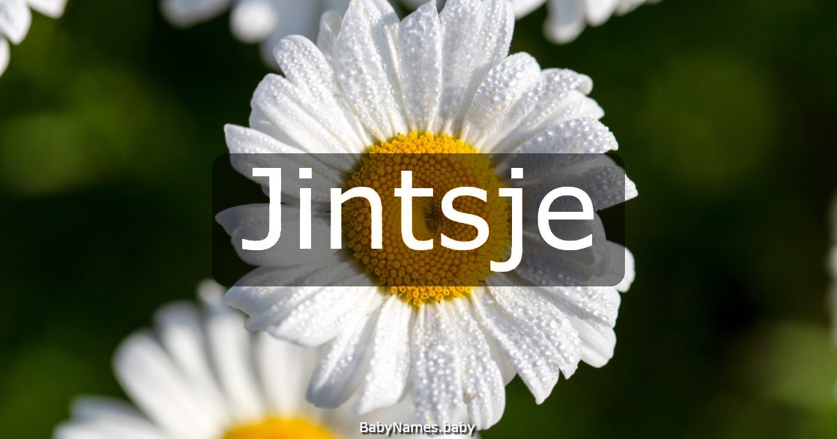 Jintsje
