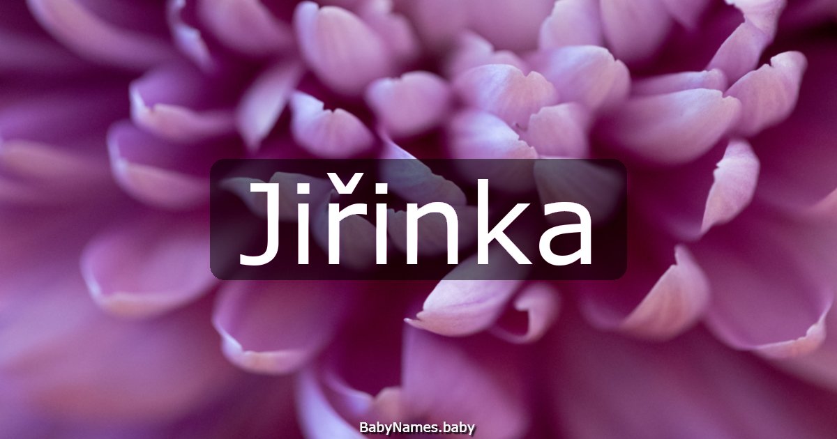 Jiřinka
