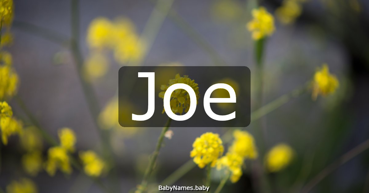 Joe