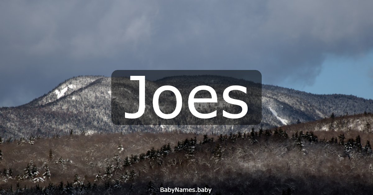 Joes