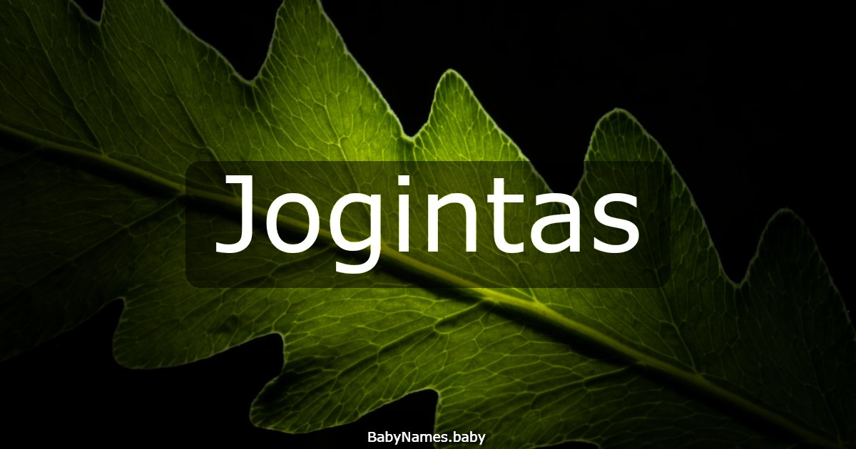 Jogintas