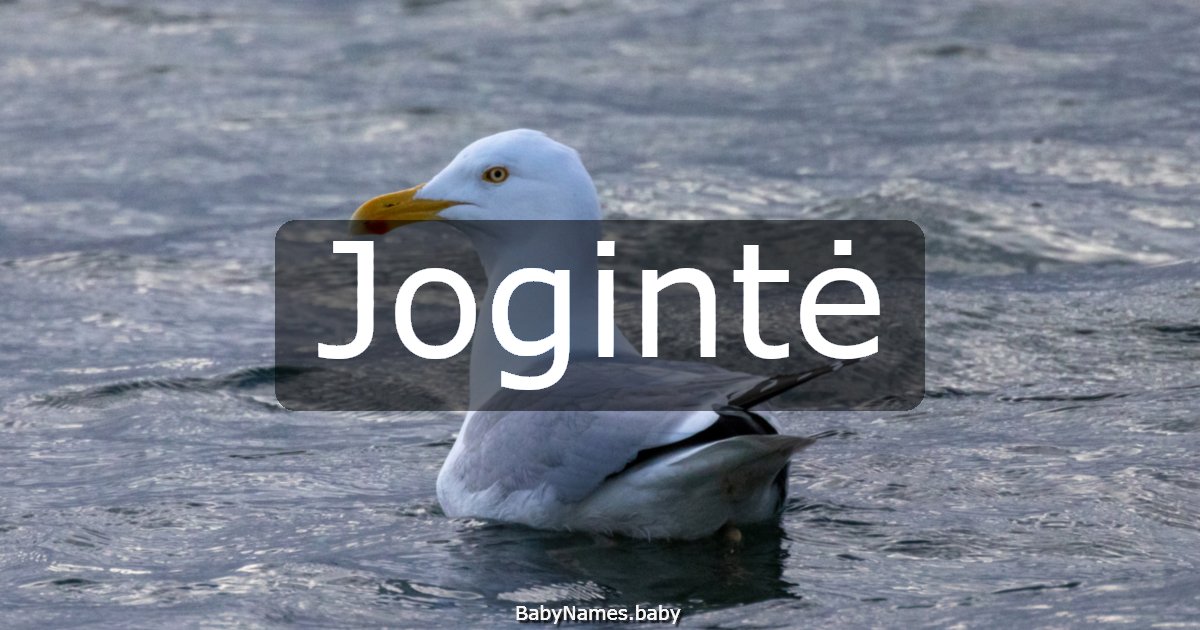 Jogintė