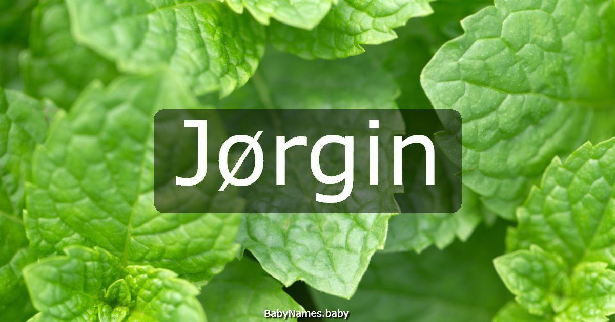 Jørgin
