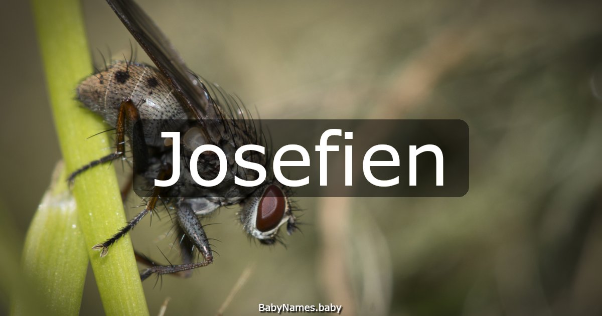 Josefien