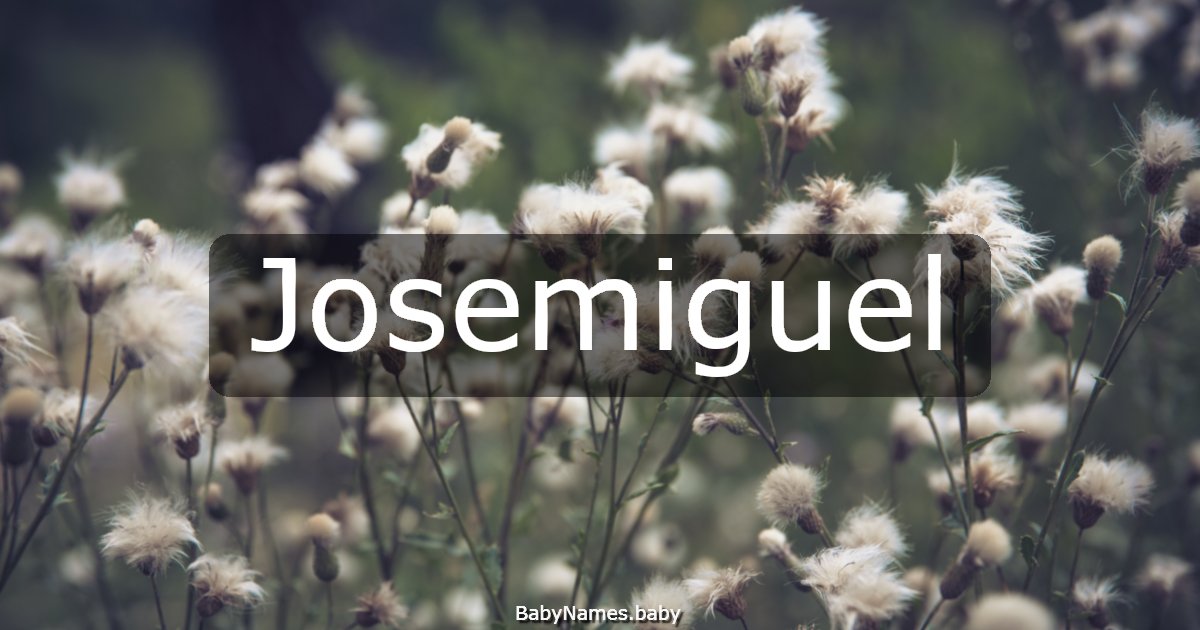 Josemiguel