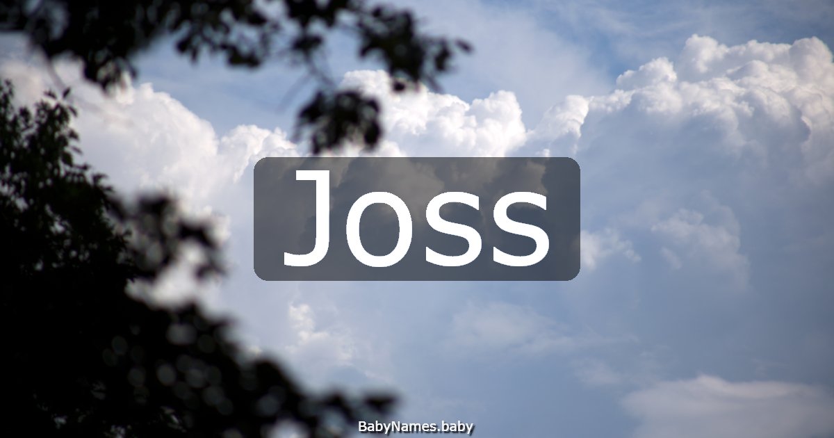 Joss