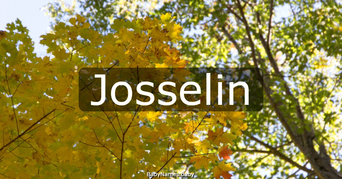 Josselin