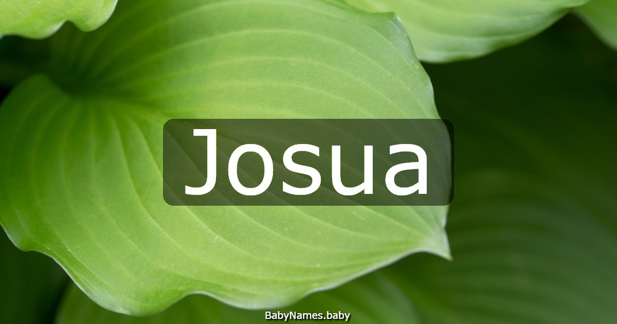 Josua