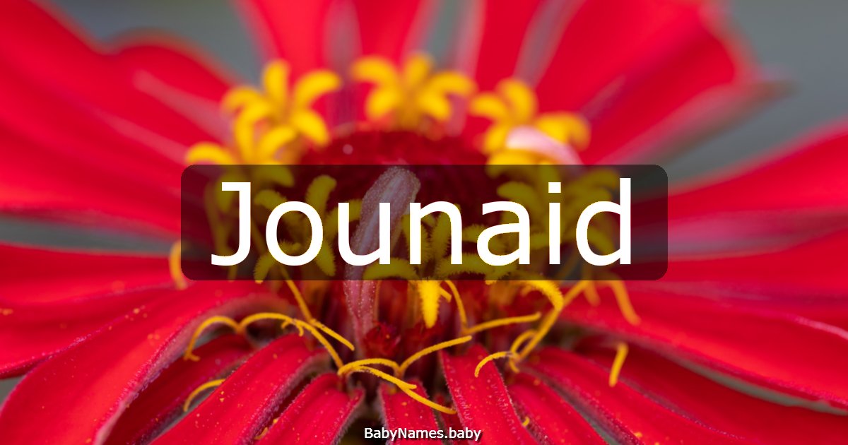 Jounaid